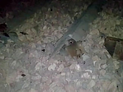 ten coaches of kathgodam jaisalmer ranikhet express derails, no casuality reported