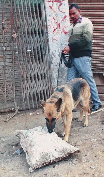 Instead of gathering evidence, police removed