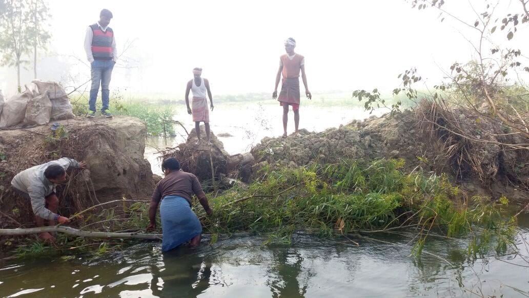 Two canal cut, crop of 80 acres steeped