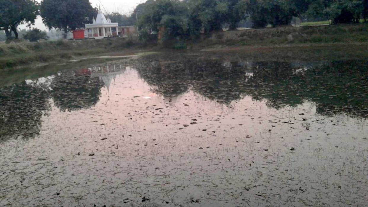 There were 84 ponds in the municipality, mostly over
