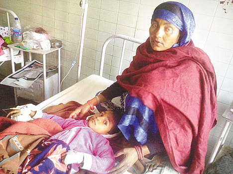 Child injured in wolf attack