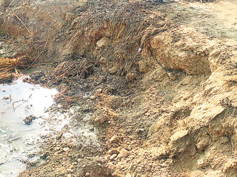 Kulhava overflow, farmers in difficulty