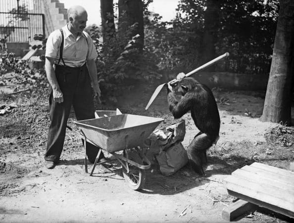 10 oldest picture that will make you laugh