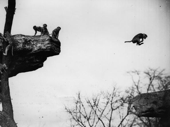 10 oldest picture that will make you laugh