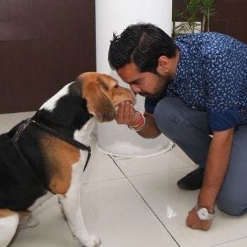 Here is the place in country, where dog do welcome 