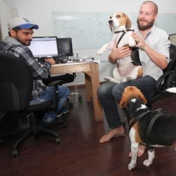 Here is the place in country, where dog do welcome 