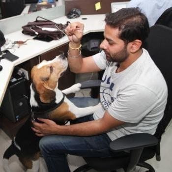 Here is the place in country, where dog do welcome 