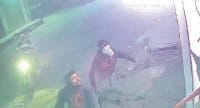 panipat, cctv,camra