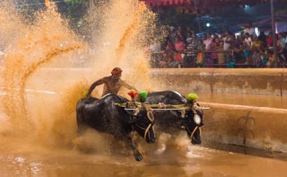  Despite restrictions will organize Kanbala: Organizer 
