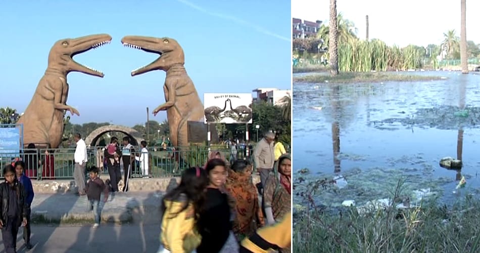 animal park incident, chandigarh sector 49