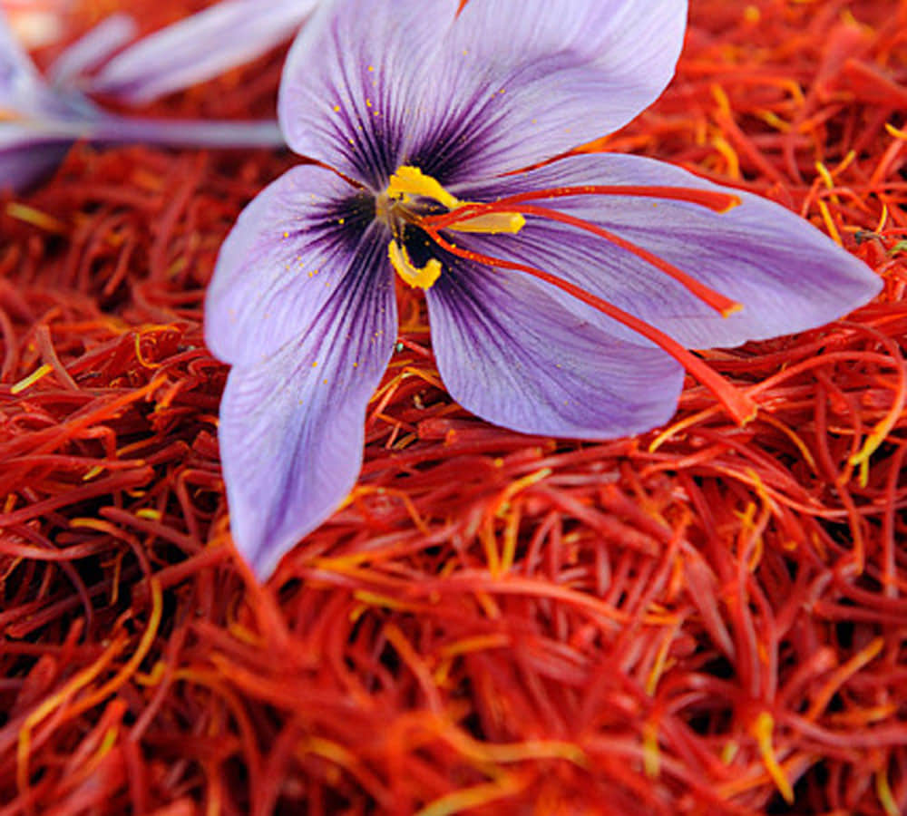 Astrological remedy for taurus to getting success