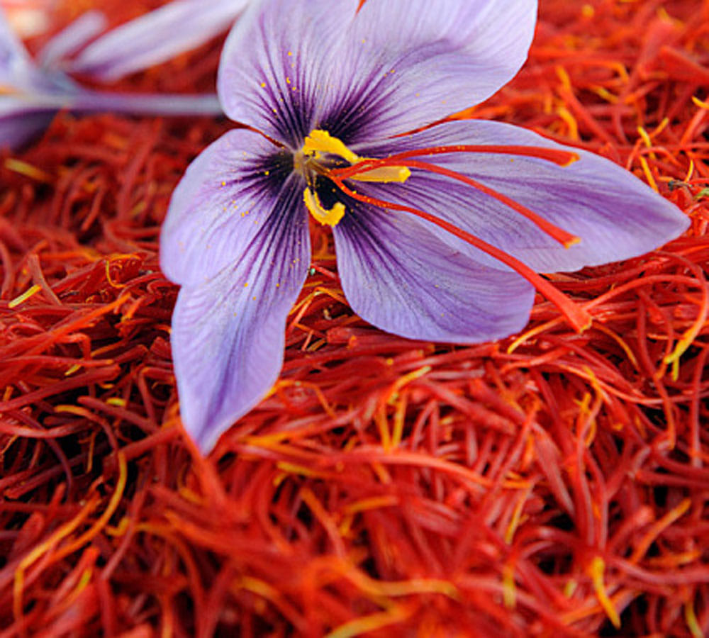 Take these measures to get rid of problems and increase positive energy