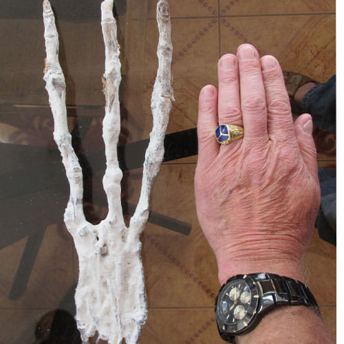 Scientists Claim Bones Found In Peru Are Of Aliens