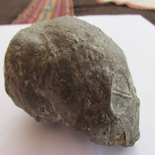 Scientists Claim Bones Found In Peru Are Of Aliens