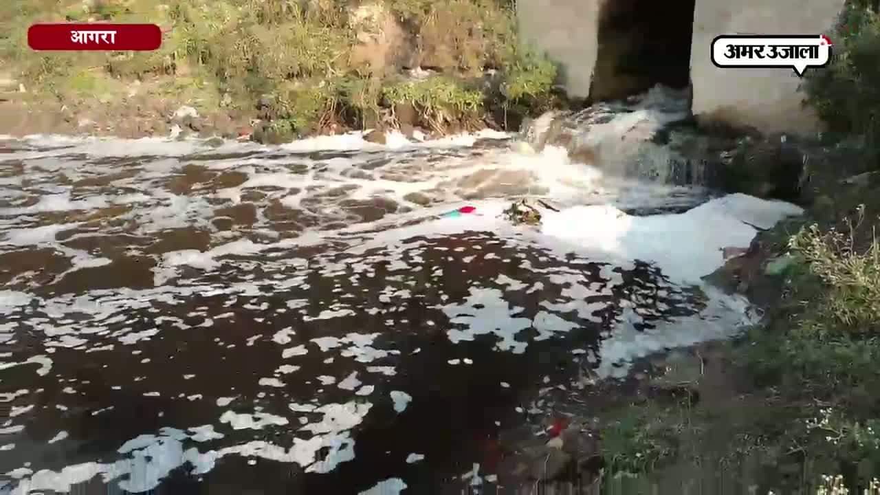 यमुना नदी 