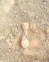 Found on Shmshangat bomb, sensation, Ambala