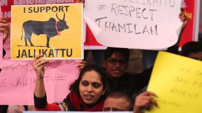 Markandeya Katju's statement on Jallikattu  "The animal is not a human being'