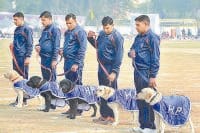 republic day program, reharsal, practice, kurukshetra