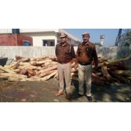 pulic, chakkar, picup, road