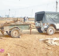 fatehabad,  cattle, dead body found, bulls