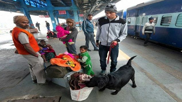 view of checking trains on republic day 