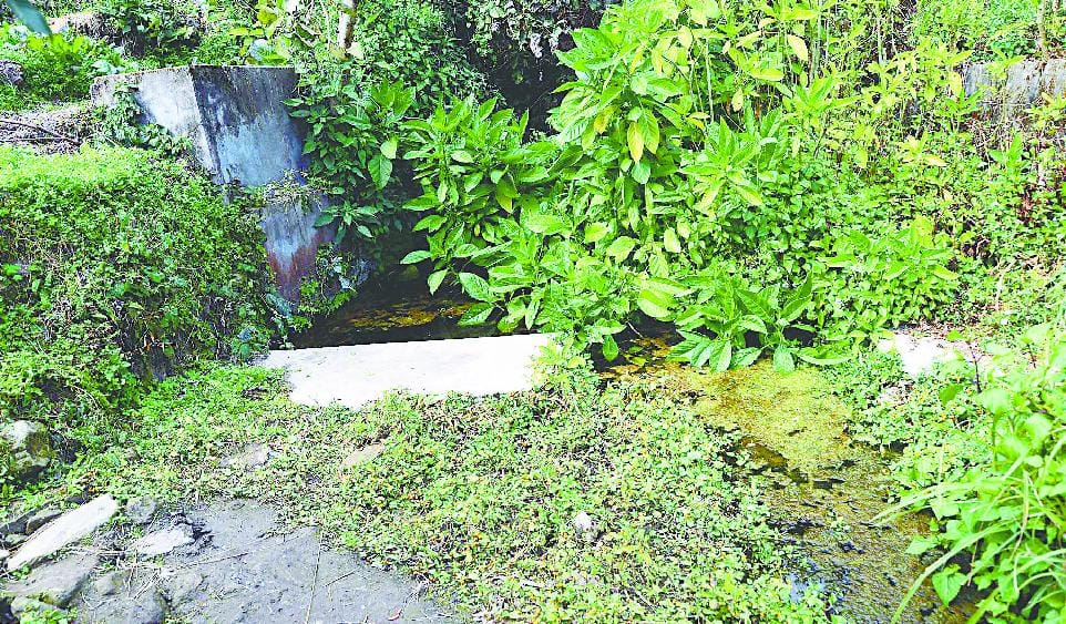 Mallidhara-Jogudha water planning issue in this election