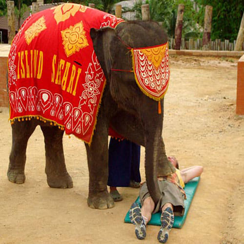 Bizarre Massages Given To People Around The World