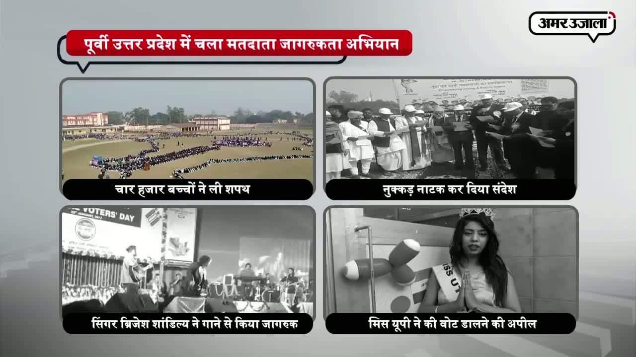 मतदाता दिवस