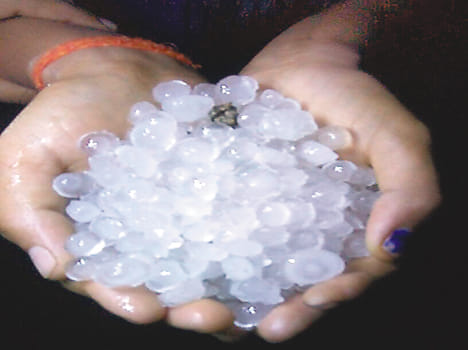 Hail crop waste