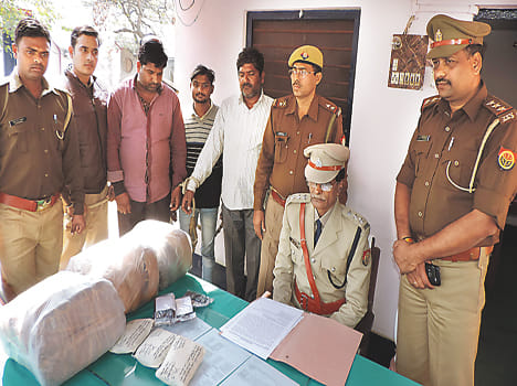 Scorpio got half million marijuana, three arrested