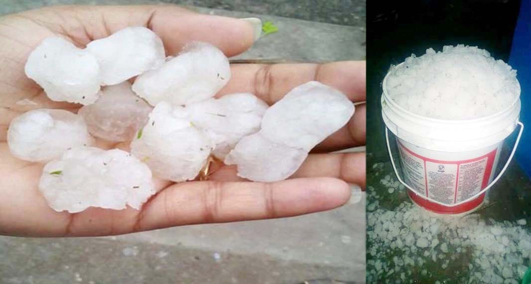 hail damage crops in rajasthan 