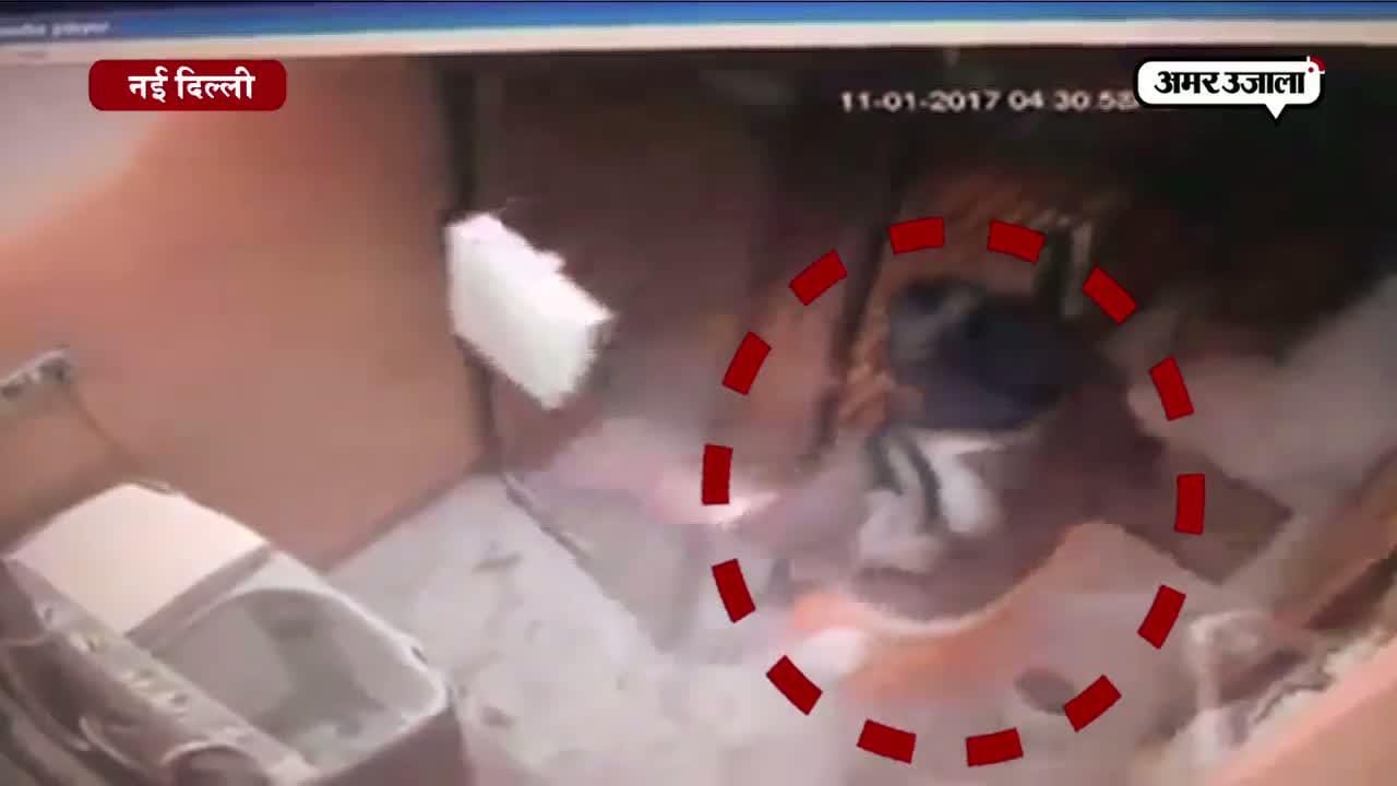 जालिम मां के इस कहर को देखकर आप कांप जाएंगे