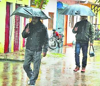 Rain to crops received lifesaving