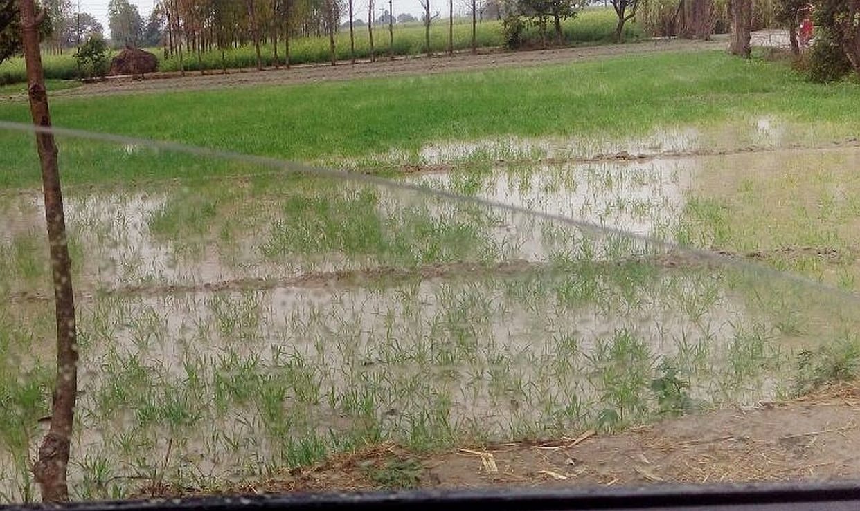 Disaster as hail lashed