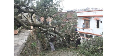 Himachal breaks 20-year-old rain record