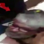 भंसाली, पद्मावती
