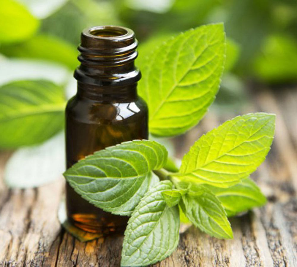 how to get rid of snoring using home remedies
