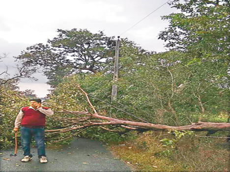 Rains and winds caused power derail