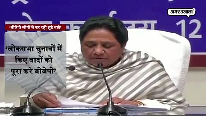 MAYAWATI PRESS CONFERENCE IN LUCKNOW ASKED NOT TO SUPPORT BJP 