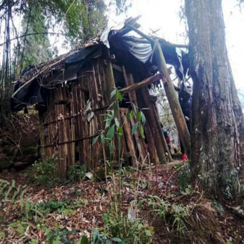 Woman Is Forced To Live In Forest In China