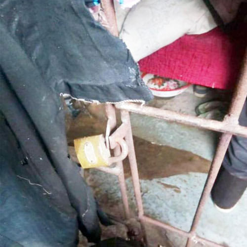 Woman Is Forced To Live In Forest In China