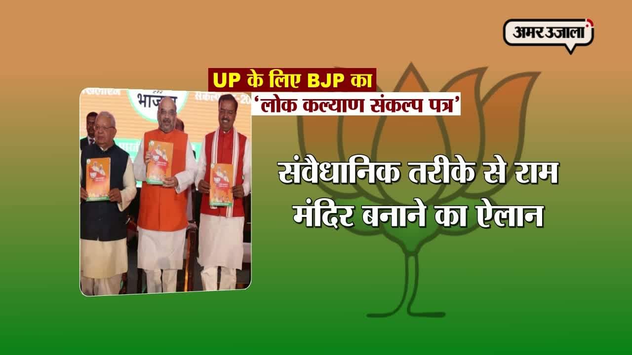 बीजेपी MANIFESTO 