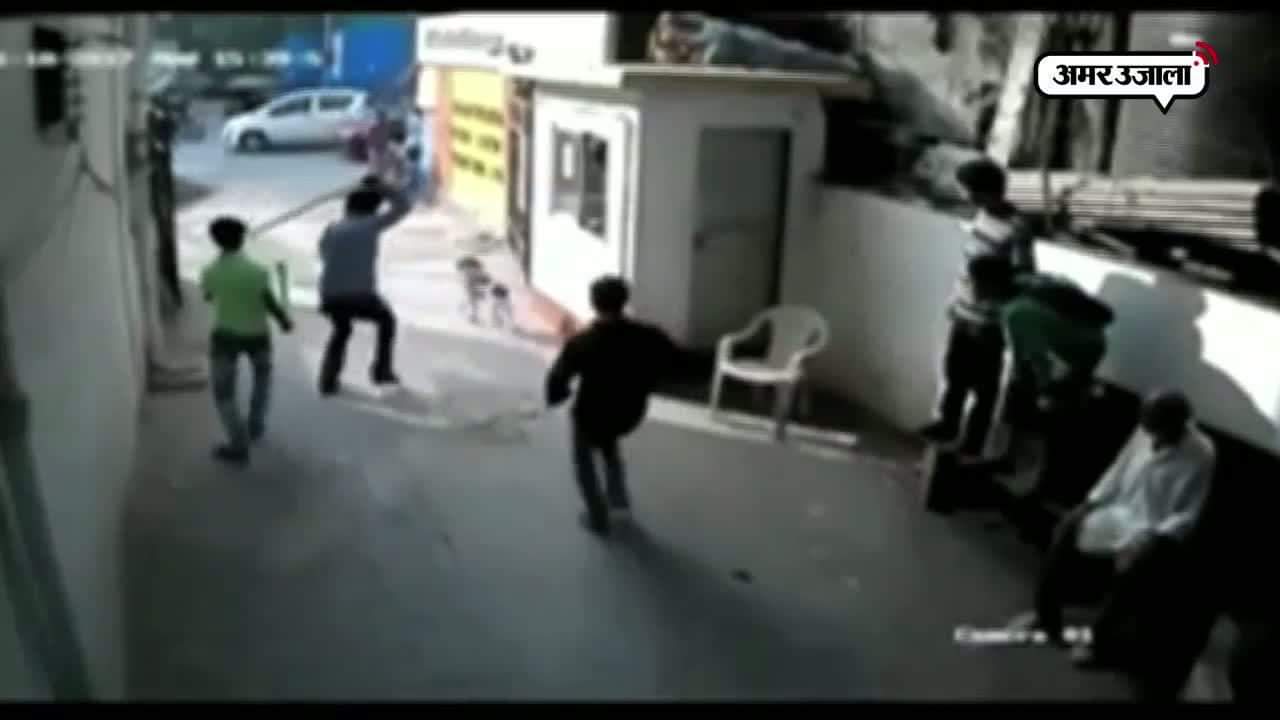 वायरल वीडियो, मुंबई, कुत्ता