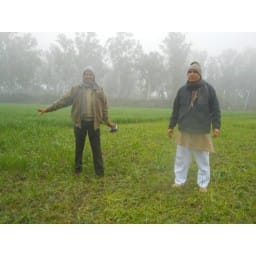 ikkas, jaat, dharna, jind