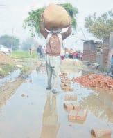 Hitting the water, and farmers Coloniwasi Bejar, wheat, Ambala