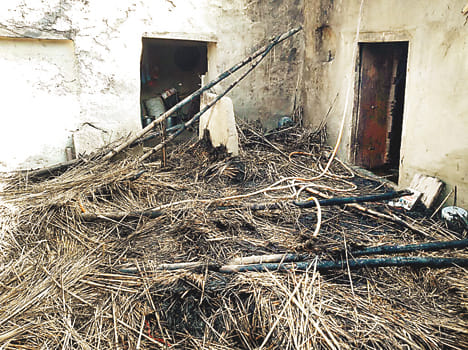 Suspicious fire, the farmer's death