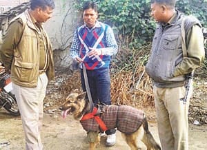 girl murder case