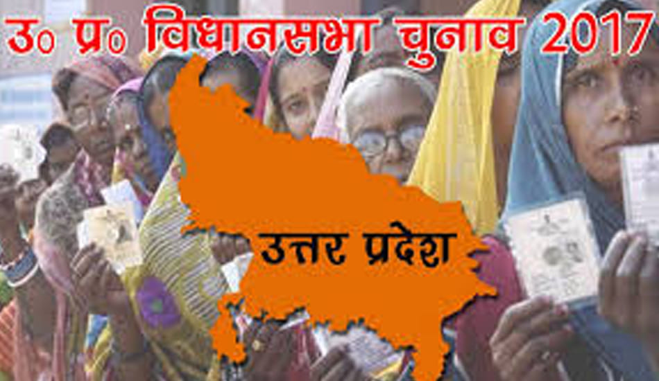 perfume city desperate for up election