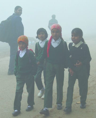 Climate change, increasing the risk of cold flu