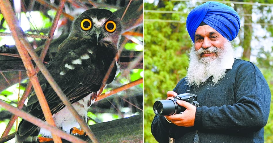 chandigarh bird watcher navtej singh, unique fond of sikh man